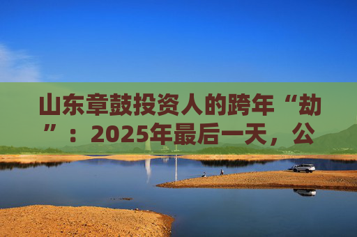 山东章鼓投资人的跨年“劫”：2025年最后一天，公司披露被中国证监会立案调查