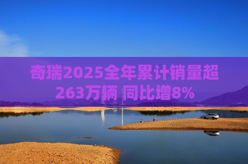 奇瑞2025全年累计销量超263万辆 同比增8%  第1张