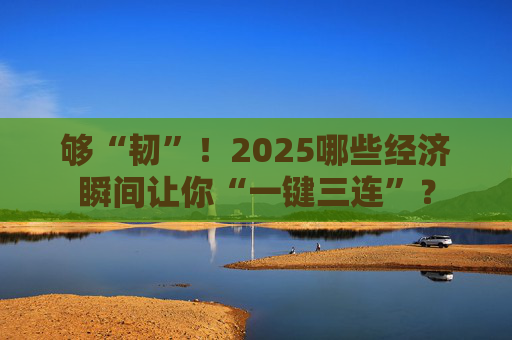 够“韧”！2025哪些经济瞬间让你“一键三连”？