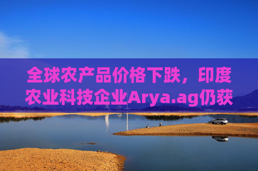 全球农产品价格下跌,印度农业科技企业Arya.ag仍获投资者青睐并持续盈利 第1张 全球农产品价格下跌,印度农业科技企业Arya.ag仍获投资者青睐并持续盈利 第1张