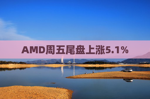 AMD周五尾盘上涨5.1%  第1张