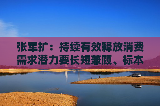 张军扩：持续有效释放消费需求潜力要长短兼顾、标本兼治