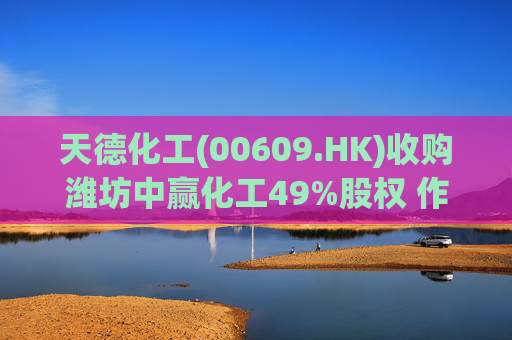 天德化工(00609.HK)收购潍坊中赢化工49%股权 作价8800万元
