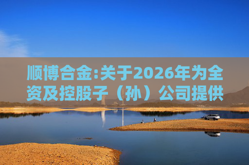 顺博合金:关于2026年为全资及控股子（孙）公司提供担保的公告