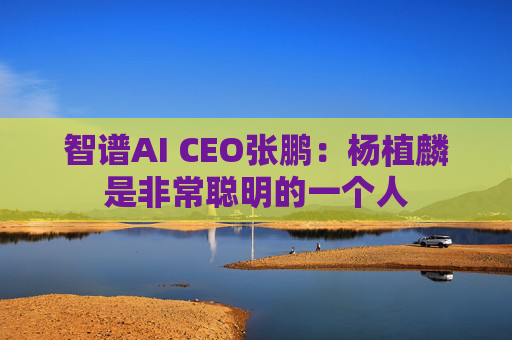 智谱AI CEO张鹏：杨植麟是非常聪明的一个人