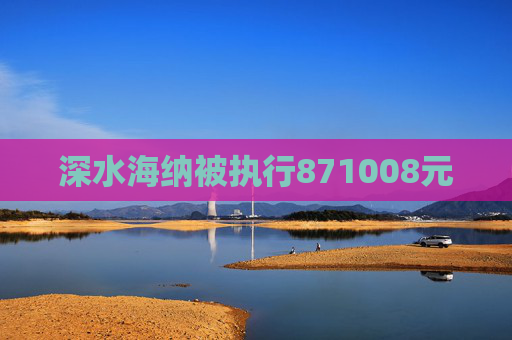 深水海纳被执行871008元