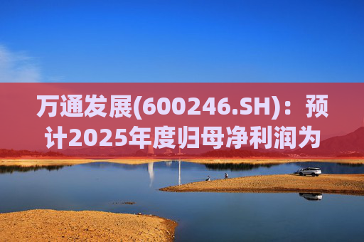 万通发展(600246.SH)：预计2025年度归母净利润为负值