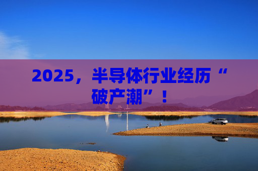 2025，半导体行业经历“破产潮”！  第1张