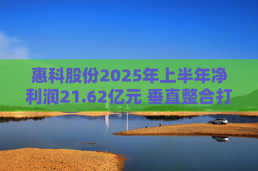 惠科股份2025年上半年净利润21.62亿元 垂直整合打造显示产业全链条优势