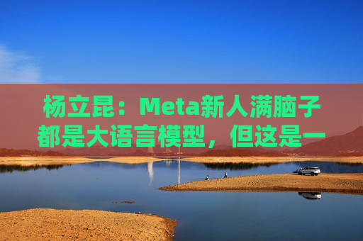 杨立昆：Meta新人满脑子都是大语言模型，但这是一条死胡同