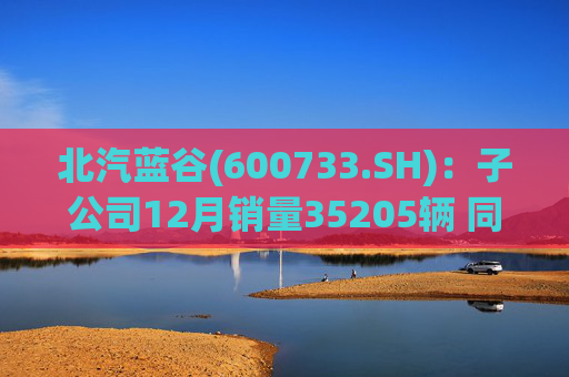 北汽蓝谷(600733.SH)：子公司12月销量35205辆 同比增长114.56%  第1张