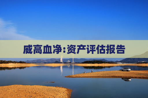 威高血净:资产评估报告