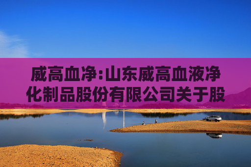威高血净:山东威高血液净化制品股份有限公司关于股东权益变动的提示性公告