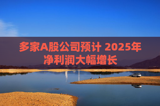 多家A股公司预计 2025年净利润大幅增长