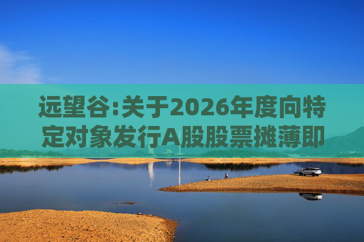 远望谷:关于2026年度向特定对象发行A股股票摊薄即期回报及填补措施和相关主体承诺的公告