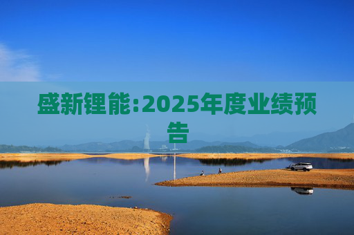 盛新锂能:2025年度业绩预告