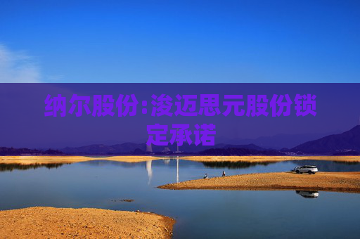 纳尔股份:浚迈思元股份锁定承诺