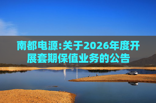南都电源:关于2026年度开展套期保值业务的公告  第1张