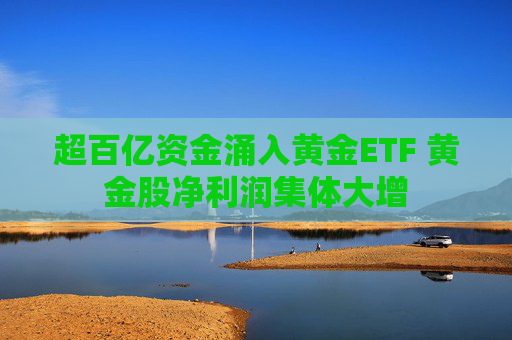 超百亿资金涌入黄金ETF 黄金股净利润集体大增  第1张
