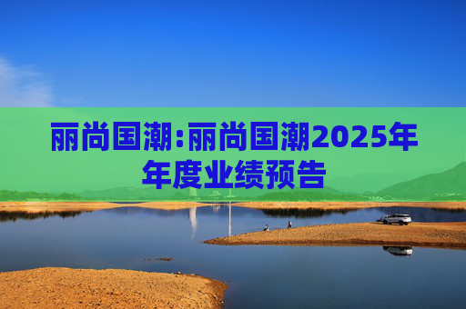 丽尚国潮:丽尚国潮2025年年度业绩预告