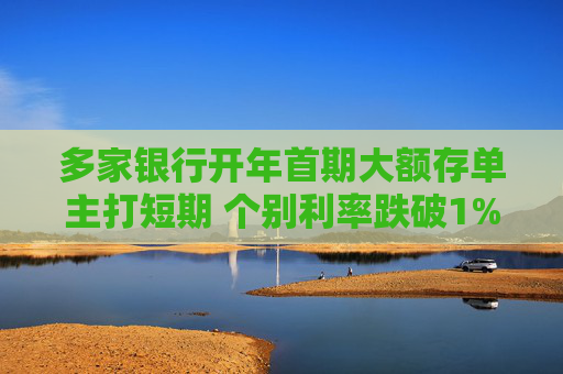 多家银行开年首期大额存单主打短期 个别利率跌破1%