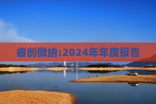 睿创微纳:2024年年度报告  第1张
