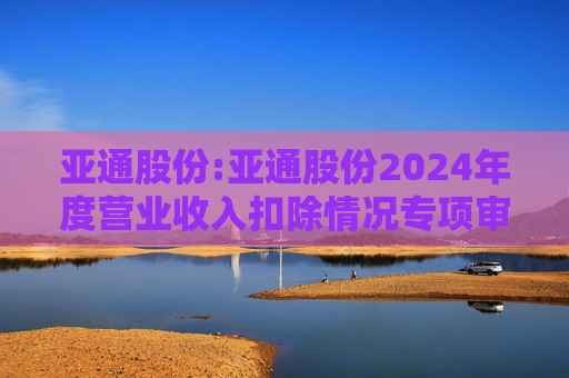 亚通股份:亚通股份2024年度营业收入扣除情况专项审核意见  第1张