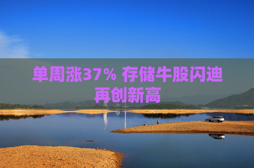 单周涨37% 存储牛股闪迪再创新高