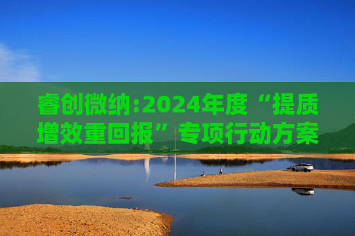 睿创微纳:2024年度“提质增效重回报”专项行动方案的评估报告暨2025年度“提质增效重回报”专项行动方案