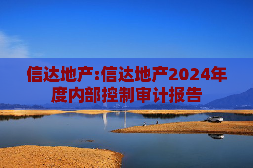 信达地产:信达地产2024年度内部控制审计报告  第1张