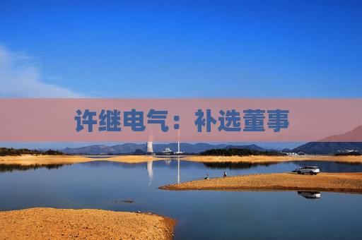 许继电气：补选董事