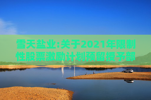 雪天盐业:关于2021年限制性股票激励计划预留授予部分限制性股票第三个解除限售期解除限售暨上市流通的提示性公告  第1张
