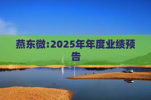 燕东微:2025年年度业绩预告