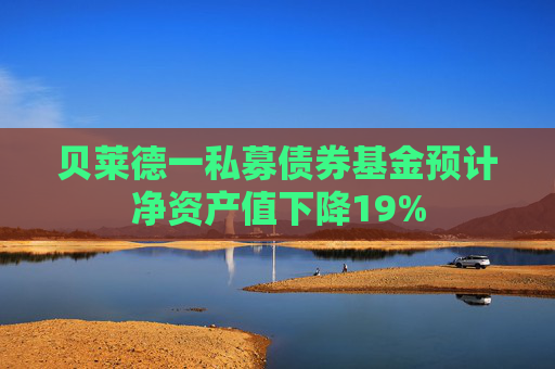 贝莱德一私募债券基金预计净资产值下降19%