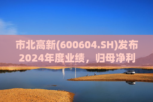 市北高新(600604.SH)发布2024年度业绩，归母净利润3053万元，同比扭亏为盈  第1张
