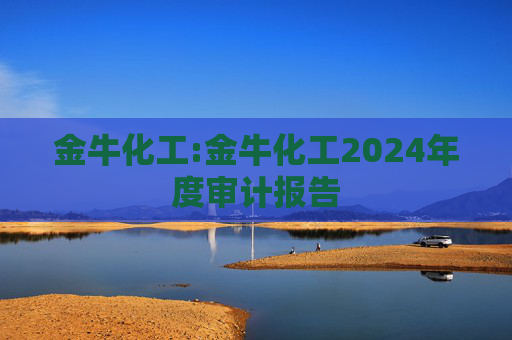 金牛化工:金牛化工2024年度审计报告