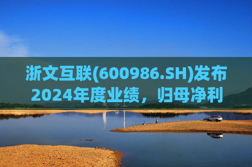 浙文互联(600986.SH)发布2024年度业绩，归母净利润1.58亿元，下降17.92%  第1张