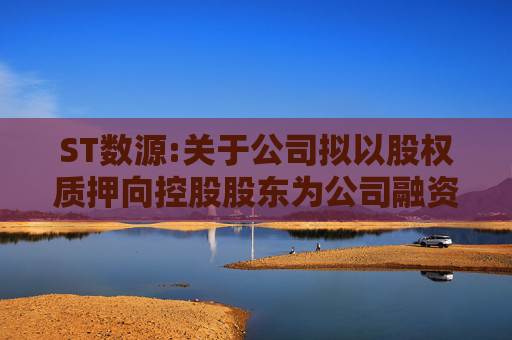 ST数源:关于公司拟以股权质押向控股股东为公司融资提供担保进行反担保的公告