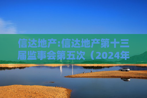信达地产:信达地产第十三届监事会第五次（2024年度）会议决议公告  第1张