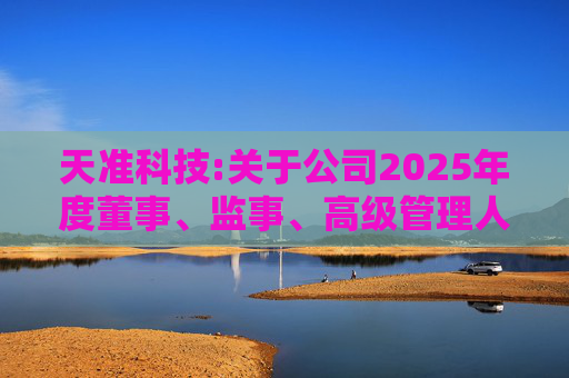 天准科技:关于公司2025年度董事、监事、高级管理人员薪酬方案的公告