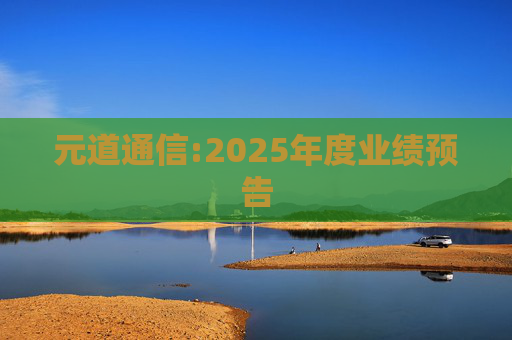 元道通信:2025年度业绩预告