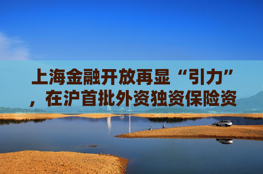 上海金融开放再显“引力”，在沪首批外资独资保险资管开业