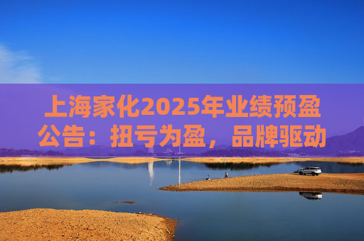 上海家化2025年业绩预盈公告：扭亏为盈，品牌驱动重回增长轨道  第1张