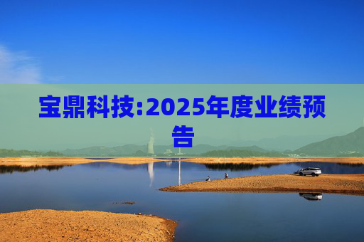 宝鼎科技:2025年度业绩预告