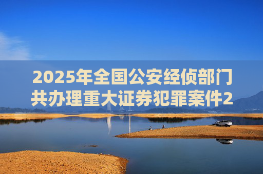 2025年全国公安经侦部门共办理重大证券犯罪案件200余起