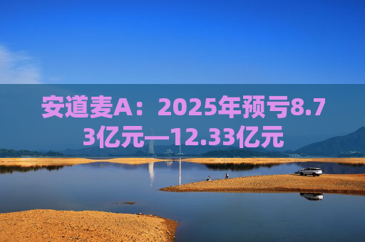 安道麦A:2025年预亏8.73亿元—12.33亿元 第1张 安道麦A:2025年预亏8.73亿元—12.33亿元 第1张