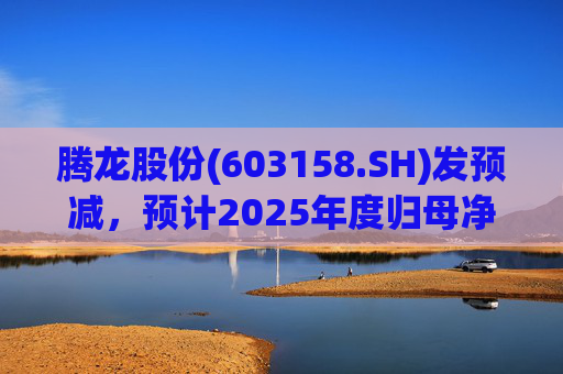 腾龙股份(603158.SH)发预减，预计2025年度归母净利润4600万元至6900万元，同比减少81.59%至72.38%  第1张