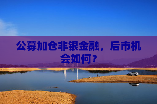 公募加仓非银金融，后市机会如何？