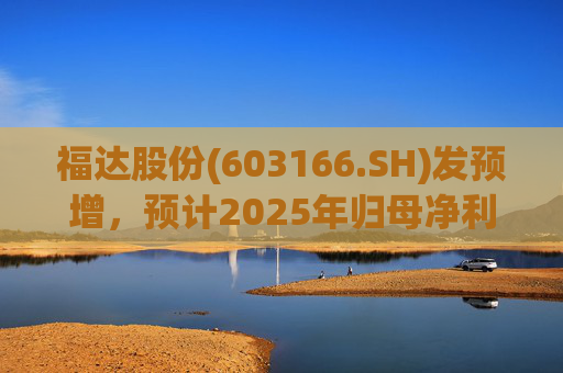福达股份(603166.SH)发预增，预计2025年归母净利润同比增加67.31%到78.11%  第1张