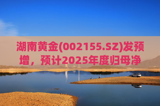 湖南黄金(002155.SZ)发预增，预计2025年度归母净利润12.7亿元至16.08亿元，同比增长50%-90%  第1张